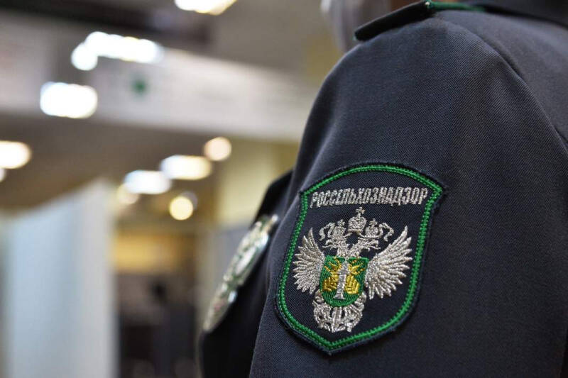 Горы за океан: американцы нарастили присутствие в Армении