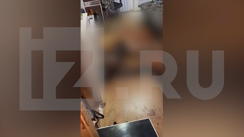 В Петербурге задержали подозреваемых в нанесении девушке 100 ножевых ранений