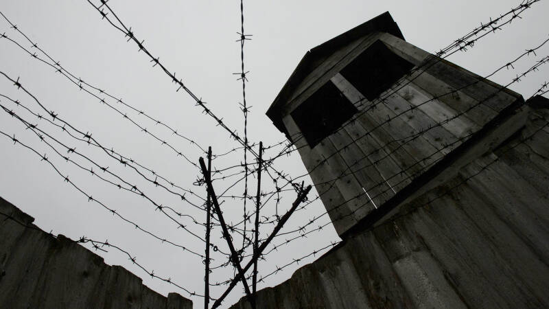 Страшная находка: в Ленобласти обнаружены тела узников &laquo;Дулага-101&raquo;