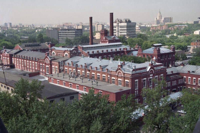 К соли земли русской: Мексика увеличит продажи текилы в РФ