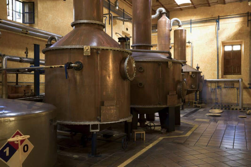 К соли земли русской: Мексика увеличит продажи текилы в РФ