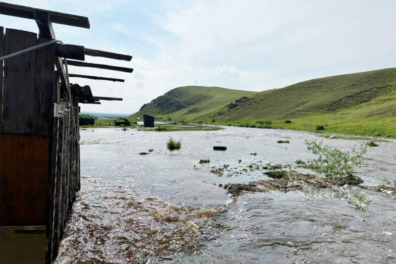 Дождевая страда: как регионы борются с последствиями мощных осадков