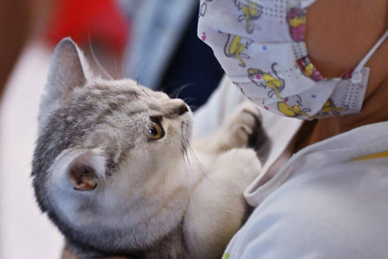 Легкое дыхание: в России создали первую в мире вакцину от аллергии