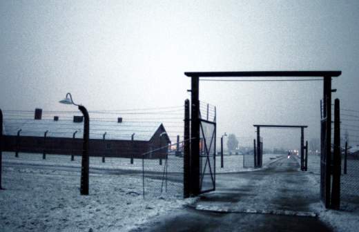 Страшная находка: в Ленобласти обнаружены тела узников &laquo;Дулага-101&raquo;