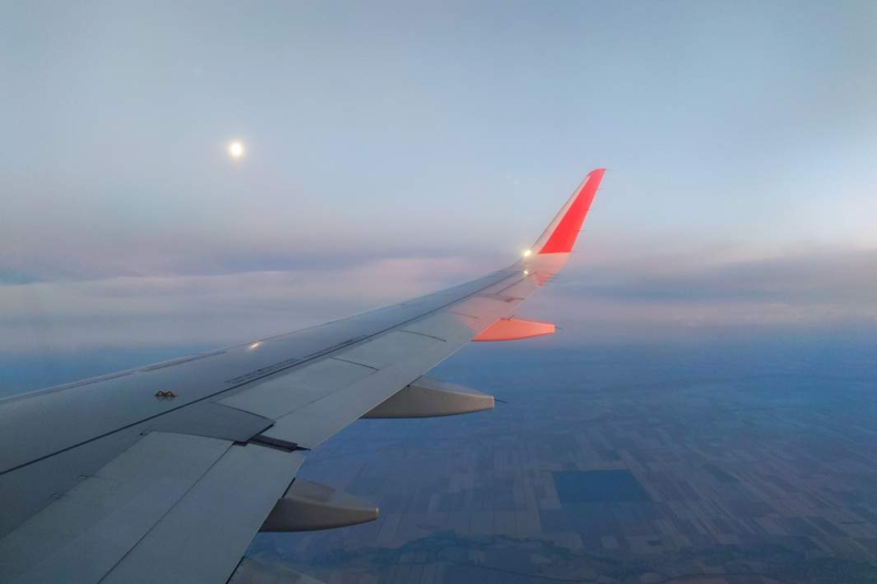 Шри-Ланка без визы: с 1 октября россиянам станет легче посетить островное государство