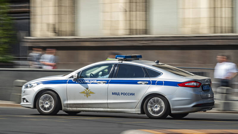 В Подмосковье грибник нашел человеческий скелет в лесу