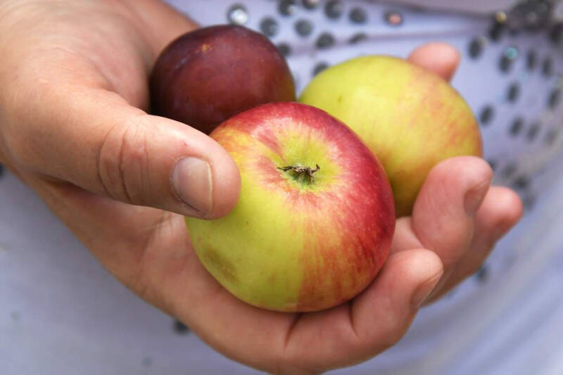 Календарь питания в Успенский пост: что можно и нельзя есть