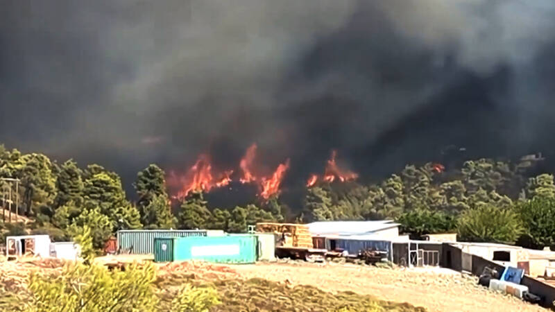 Два крупных лесных пожара вспыхнули недалеко от Афин