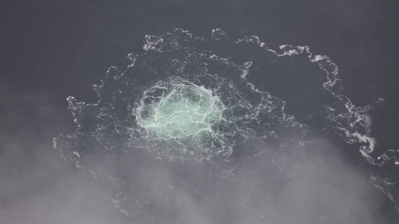 В Госдуме указали на обязанность ФРГ защищать своих граждан от террористов