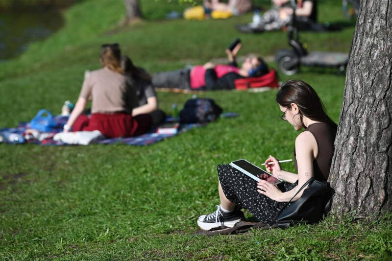 Принц и грезы: можно ли сделать мечты реальностью