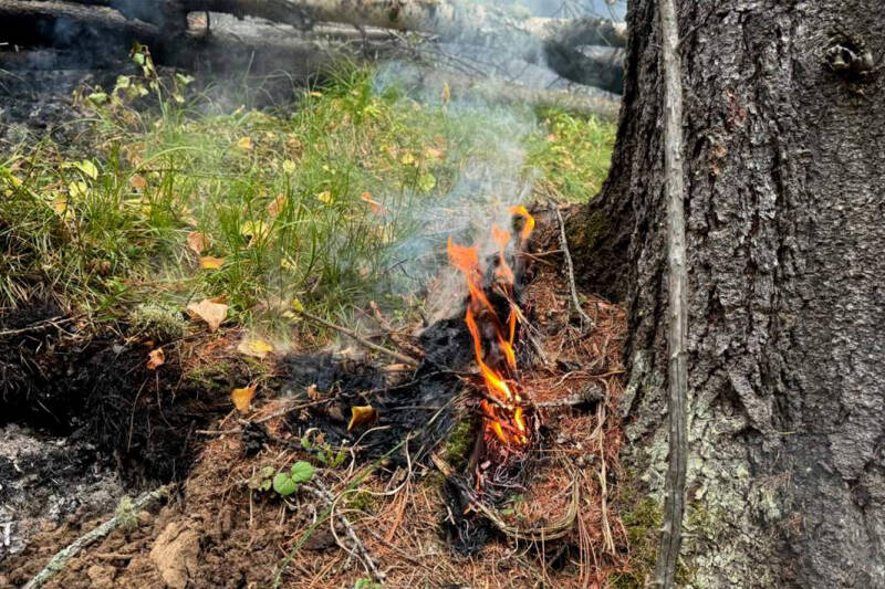 Обжечь края: лесные пожары в Туве приближаются к населенным пунктам